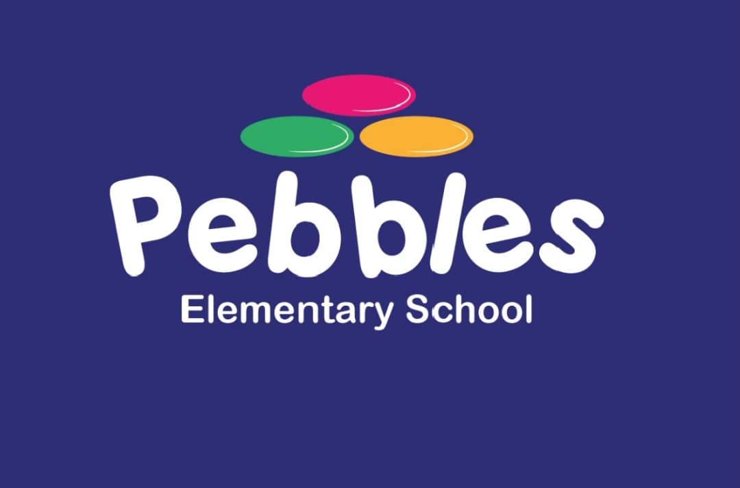 Pebbles Elementary Wins Regional Science Fair